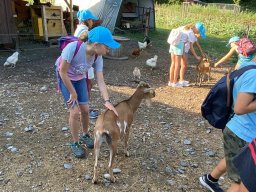 image1317